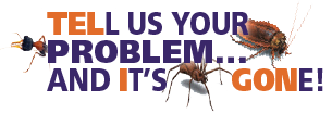 Teligon Pest - Tell us your problem and it's gone!